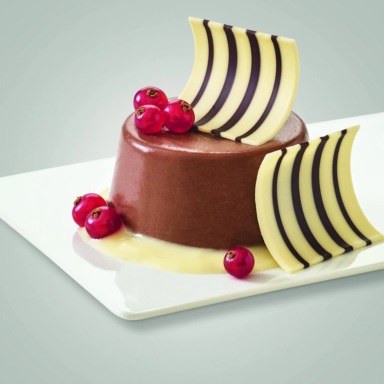 Dr. Oetker Dr.Oetker Schoko-Dekor Zebra Ola (700 G) 5 Dr. Oetker Dr.Oetker Schoko-Dekor Zebra Ola (700 G) – Bild 3