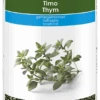 WIBERG Thymian Gefriergetrocknet (1200 Ml) -Knorr Store 368cc3a4 4629 4519 b9f3 76ba09b58fc1 3
