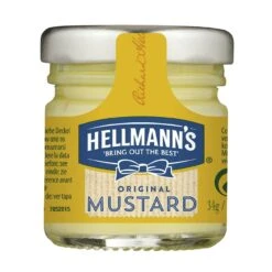 Heinz Senf Dijon 80 Portionen X 33ml (2,64 L) -Knorr Store 62f9870e 5211 40ea b7da 69d7d6e33409 1